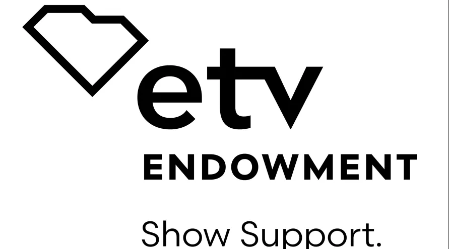 ETV Logo Design, Inspiration for a Unique Identity. Modern Elegance and  Creative Design. Watermark Your Success with the Striking this Logo.  28229926 Vector Art at Vecteezy