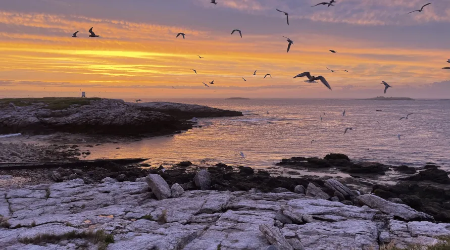 Isle of Shoals Sunset from Sea Change: The Gulf of Maine presented by NOVA