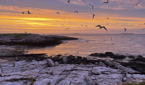 Isle of Shoals Sunset from Sea Change: The Gulf of Maine presented by NOVA